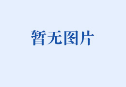 資產(chǎn)公司工會(huì)成功舉辦匹克球歡樂...