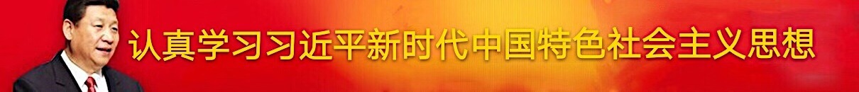 認(rèn)真學(xué)習(xí)習(xí)近平新時(shí)代中國特色社...