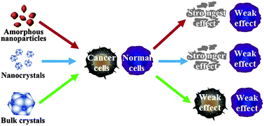 Graphical abstract:Syntheses of amorphous and crystalline cupric sulfide nanoparticles and study on the specific activities on different cells